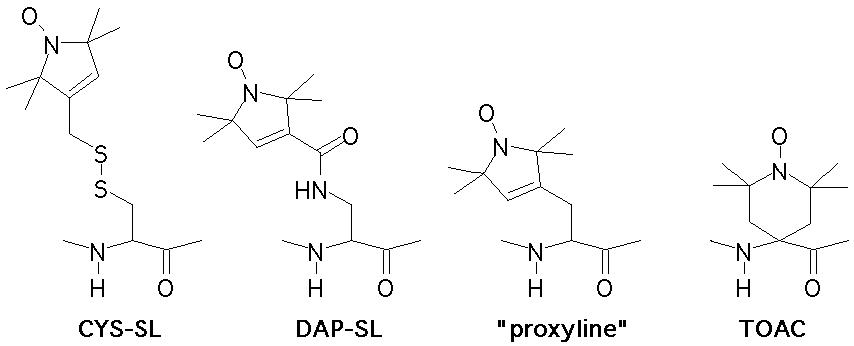 CYS-SL DAP-SL proxyline TOAC